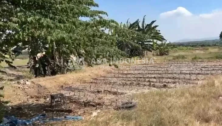 Dijual Tanah Industri Di Moro Semo, Sumber Agung, Tuban - Thumbnail 2