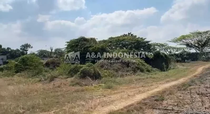 Dijual Tanah Industri Di Moro Semo, Sumber Agung, Tuban - Thumbnail 3