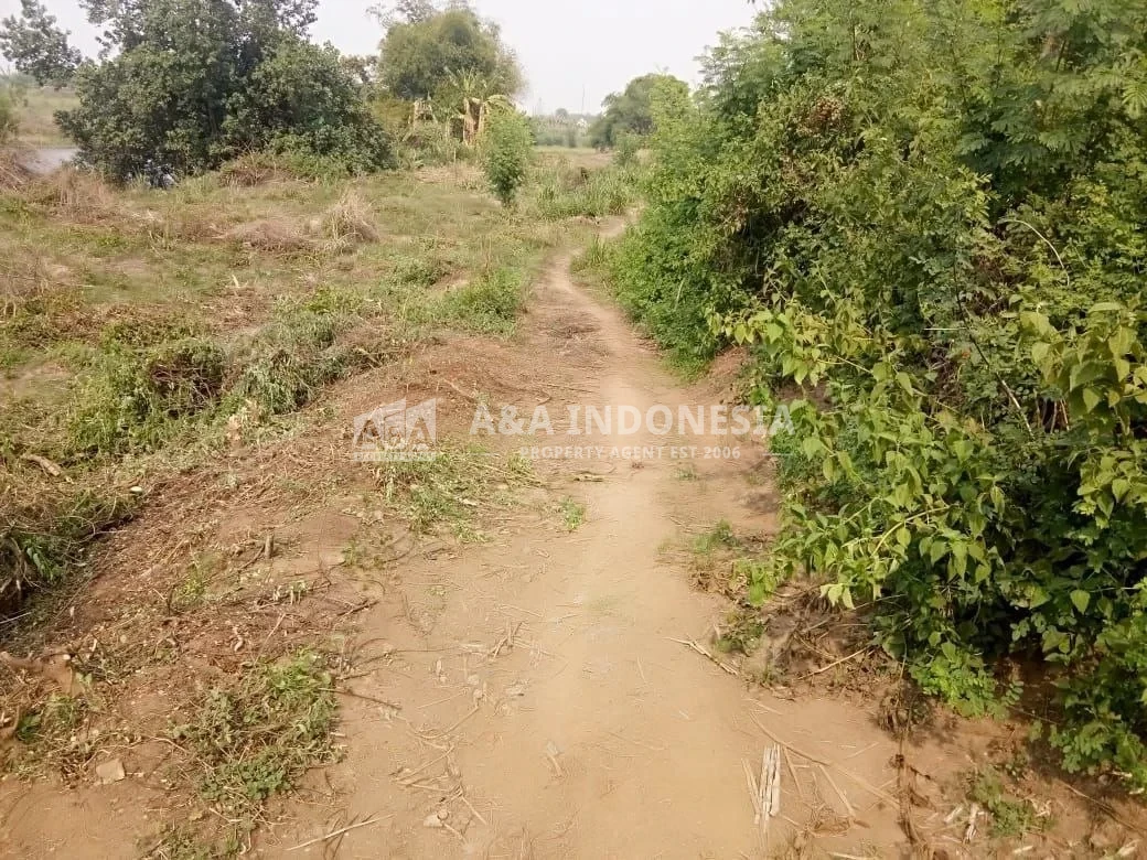 Dijual Tanah Industri Di Kawasan Jalan Kedungmungal, Mojokerto - Thumbnail 2