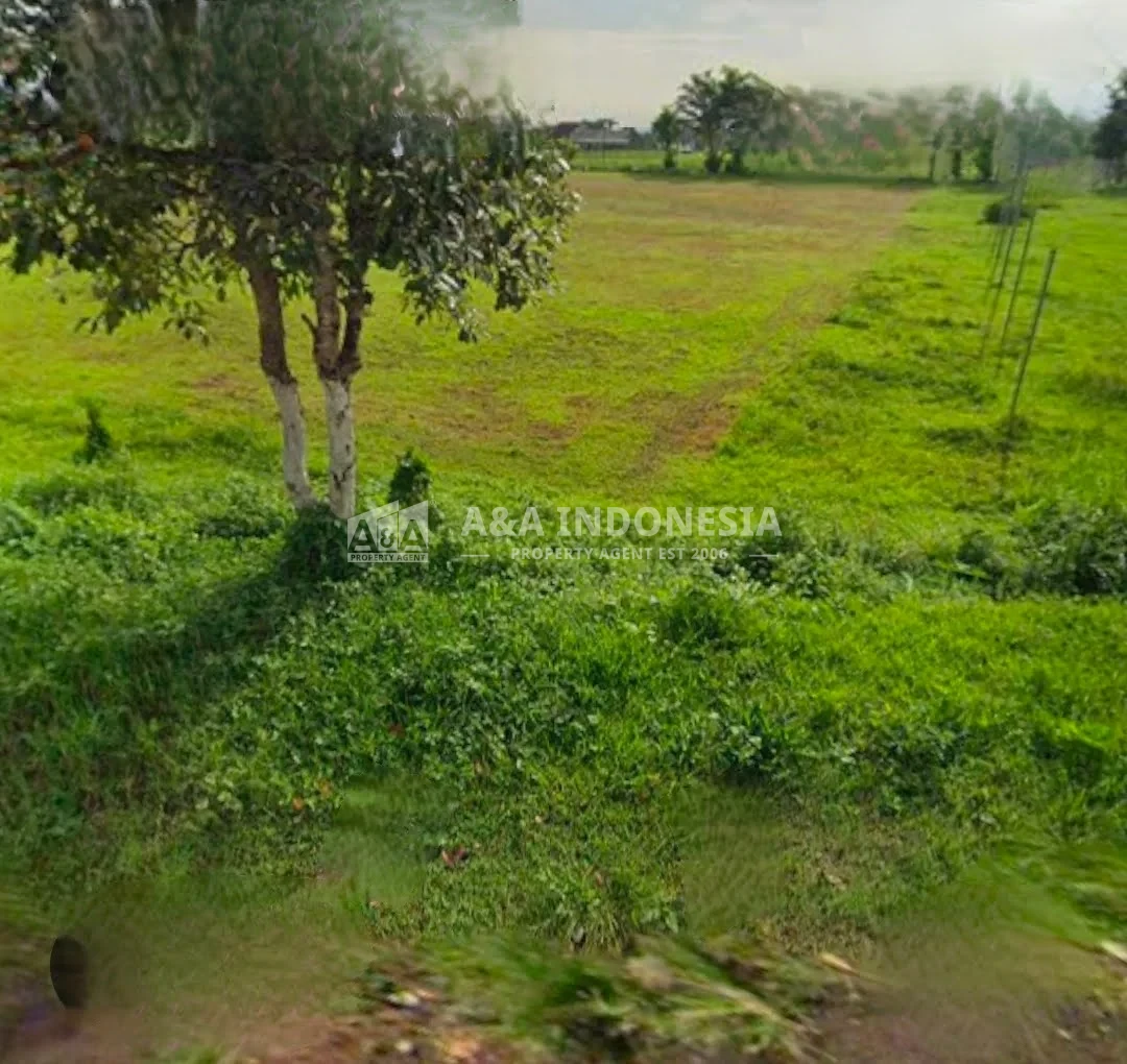 Dijual tanah murah lokasi premium di Jalan Bedali, Lawang, Malang - Image 1