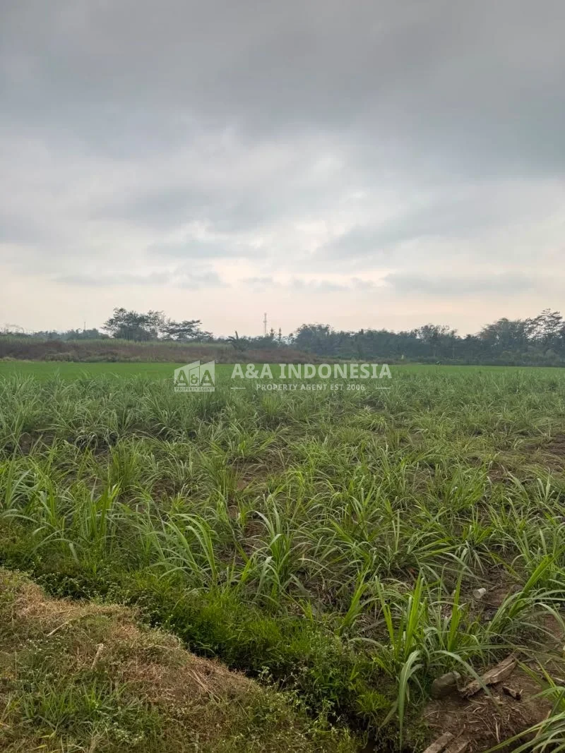 Dijual Tanah Luas dan Strategis Di Sukoanyar Malang - Thumbnail 3