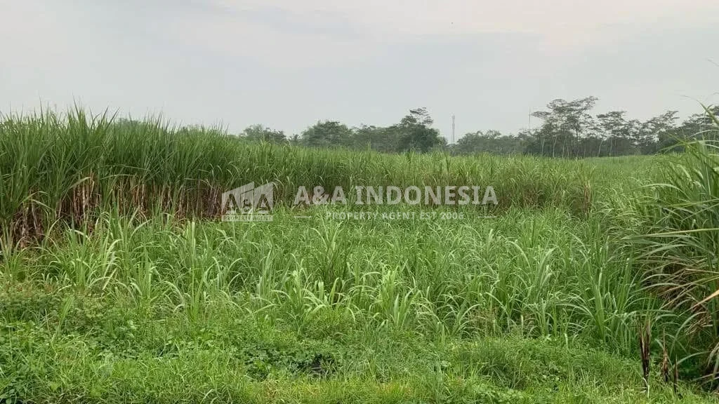 Dijual Tanah Luas dan Strategis Di Sukoanyar Malang - Thumbnail 4