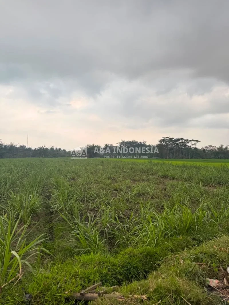 Dijual Tanah Luas dan Strategis Di Sukoanyar Malang - Thumbnail 5