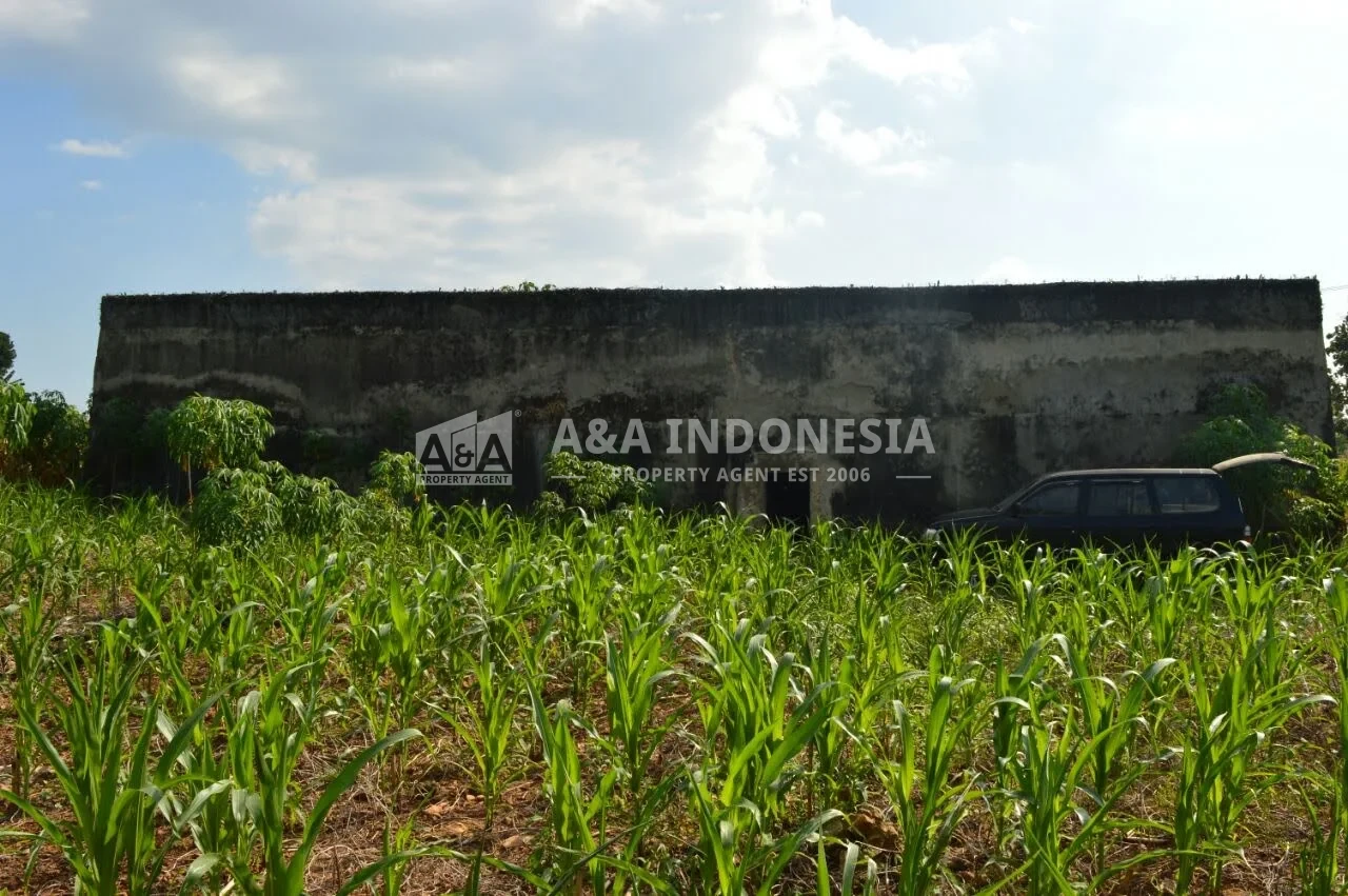 Dijual murah tanah ada bangunan walet di Desa Kerek, Tuban - Image 1