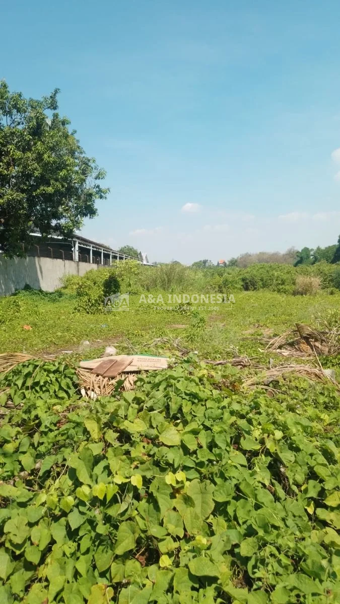 Dijual Tanah Lokasi Strategis Jalan Utama Di Babatan Pratama Surabaya Barat - Thumbnail 4