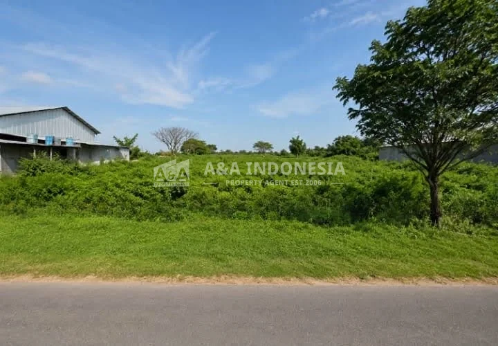 Dijual Murah Tanah 4 hektar lokasi sangat strategis di jalan Raya Tuban