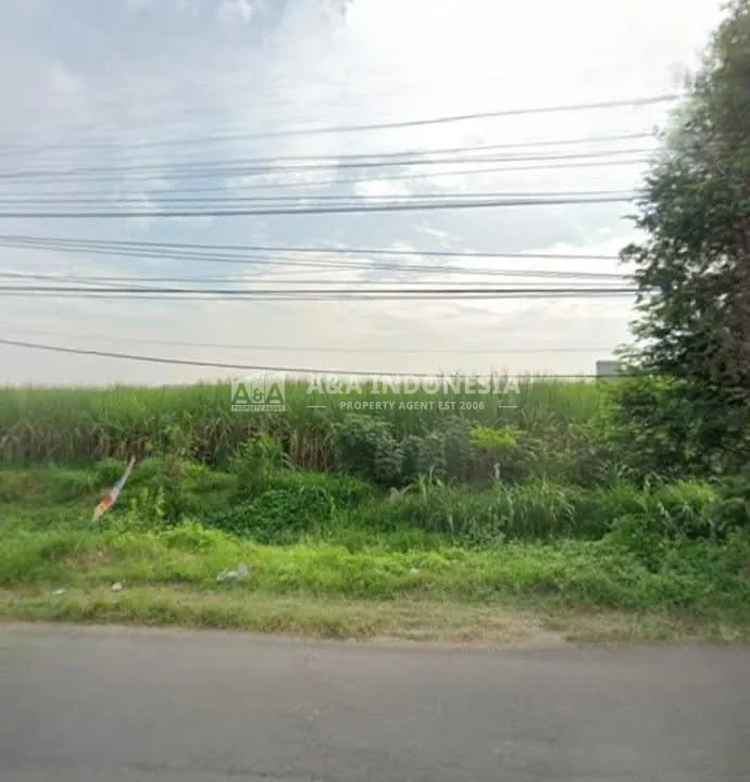Dijual Tanah Luas Di Jetis Canggu Mojokerto