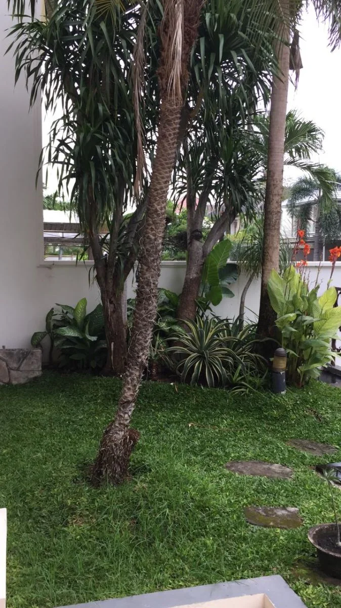 Dijual/Disewakan Rumah Mewah di Villa Sentra Raya A Citraland Surabaya Barat - Thumbnail 3