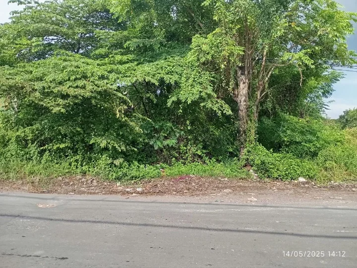 Dijual Tanah Kavling Lokasi Strategis di Raya Alas Malang Citraland Surabaya Barat