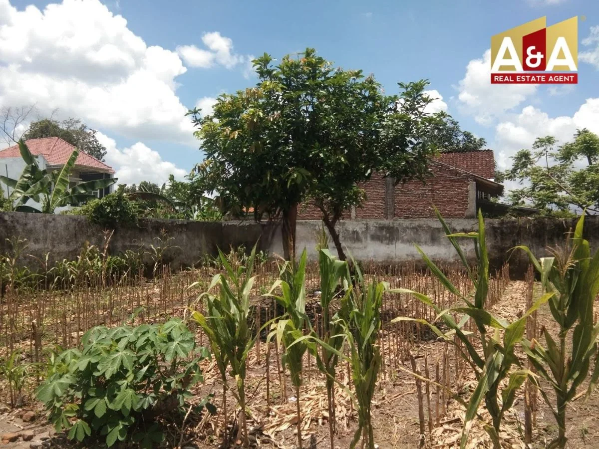 Dijual Cepat Tanah Strategis di Jalan Tondano Sumbersari Jember