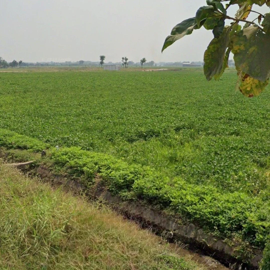 Dijual Tanah Strategis 450 Ribu Permeter di Prambon Sidoarjo