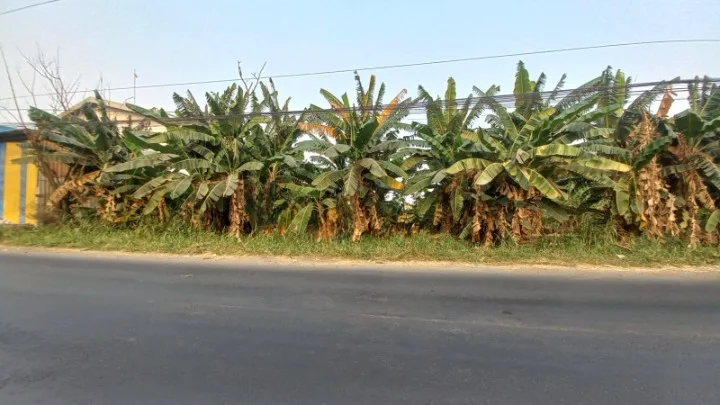 Dijual Tanah Industri Strategis di Raya Putat Lor Menganti Gresik - Image 1