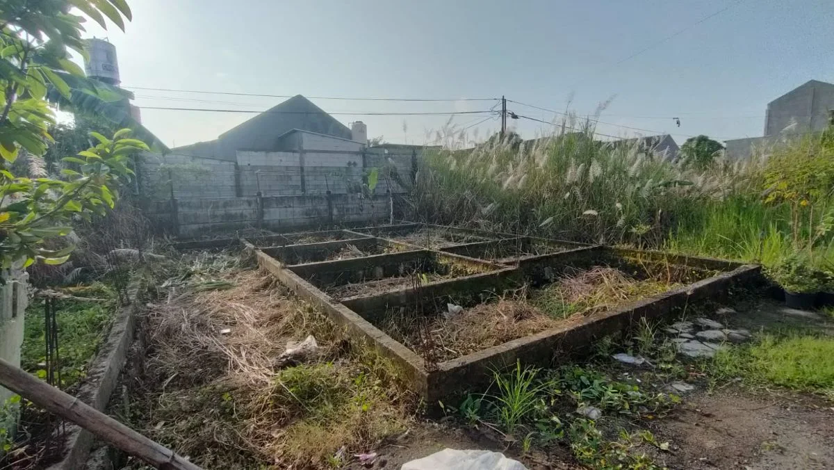 Dijual Tanah Kavling 220 Juta di Cemandi Sedati Sidoarjo