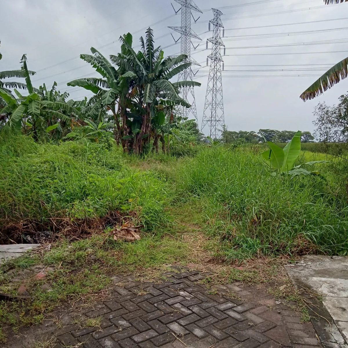 Dijual Tanah di Benowo Surabaya Barat - Thumbnail 2