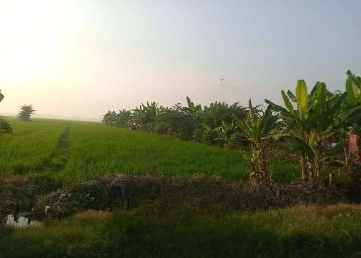 Dijual Tanah Strategis di Wilayah Gedangan Sidoarjo