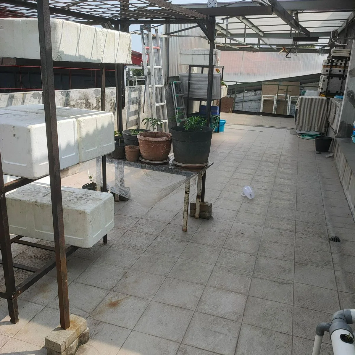 Dijual Rumah Bagus Nyaman di Wilayah Dupak Surabaya Utara - Thumbnail 3