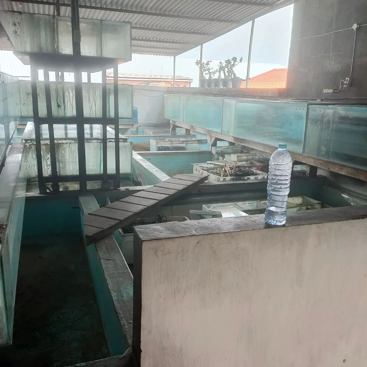 Dijual Rumah 3,5 Lantai Cocok Untuk Usaha di Wilayah Dupak Surabaya Pusat - Thumbnail 3