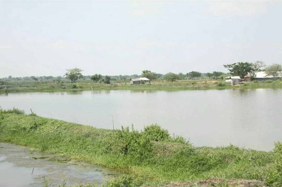 Dijual Tambak Strategis di Nol Jalan Raya Deandels Gresik