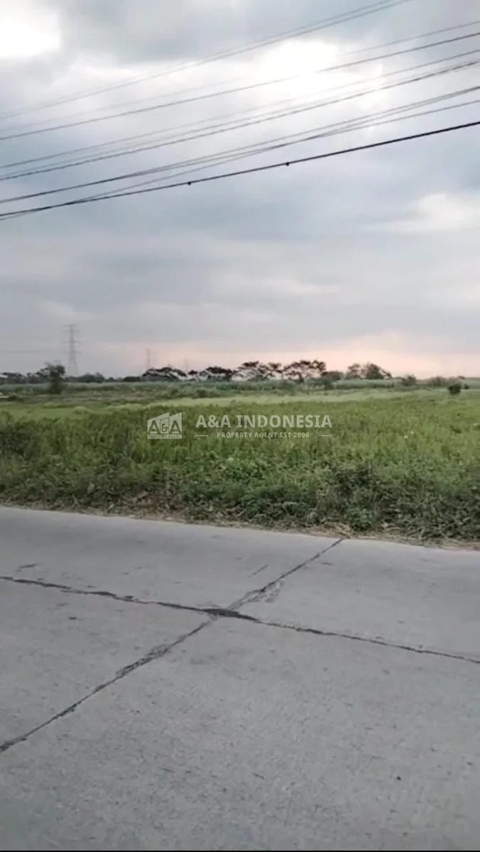 Disewakan Lahan Strategis Di Depan Alun-Alun Ngoro, Mojokerto - Thumbnail 3