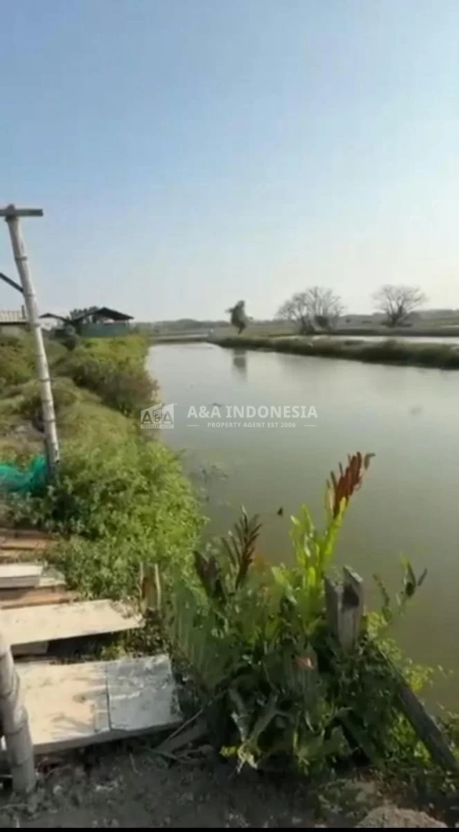 Dijual Tanah Tambak Murah di Sedati Juanda, Sidoarjo