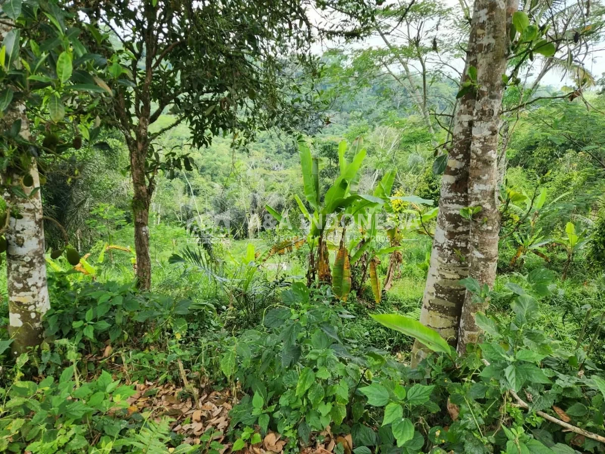 Dijual Tanah Premium 3.500 m² di Tegalalang Ubud Bali – SHM, Zona Pariwisata, View Lembah