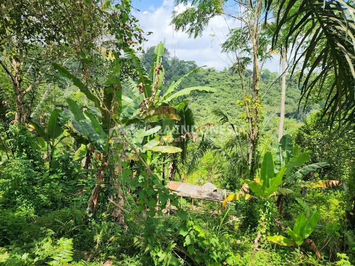Dijual Tanah Premium 3.500 m² di Tegalalang Ubud Bali – SHM, Zona Pariwisata, View Lembah - Thumbnail 4
