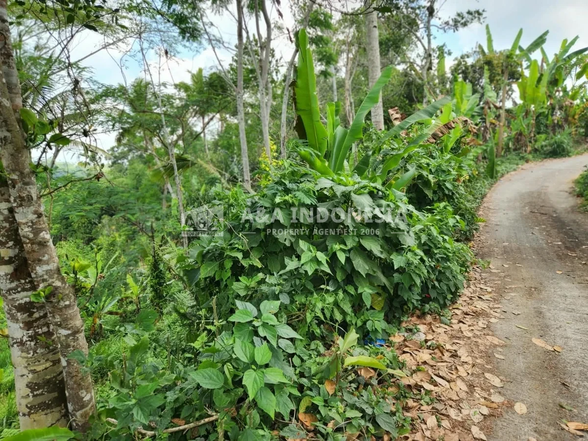 Dijual Tanah Premium 3.500 m² di Tegalalang Ubud Bali – SHM, Zona Pariwisata, View Lembah - Thumbnail 5