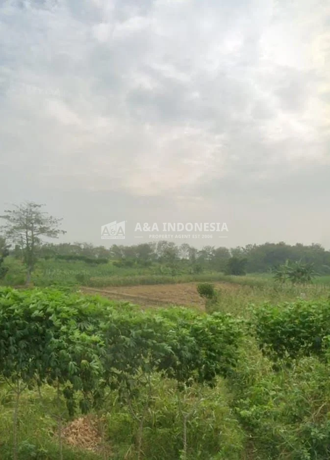Dijual Tanah Industri di Raya Dawar Blandong Jetis , Mojokerto