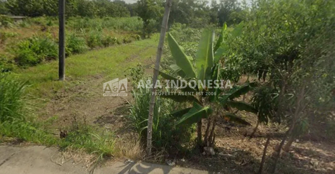 Dijual Tanah Industri Murah Di Lakardowo, Mojokerto