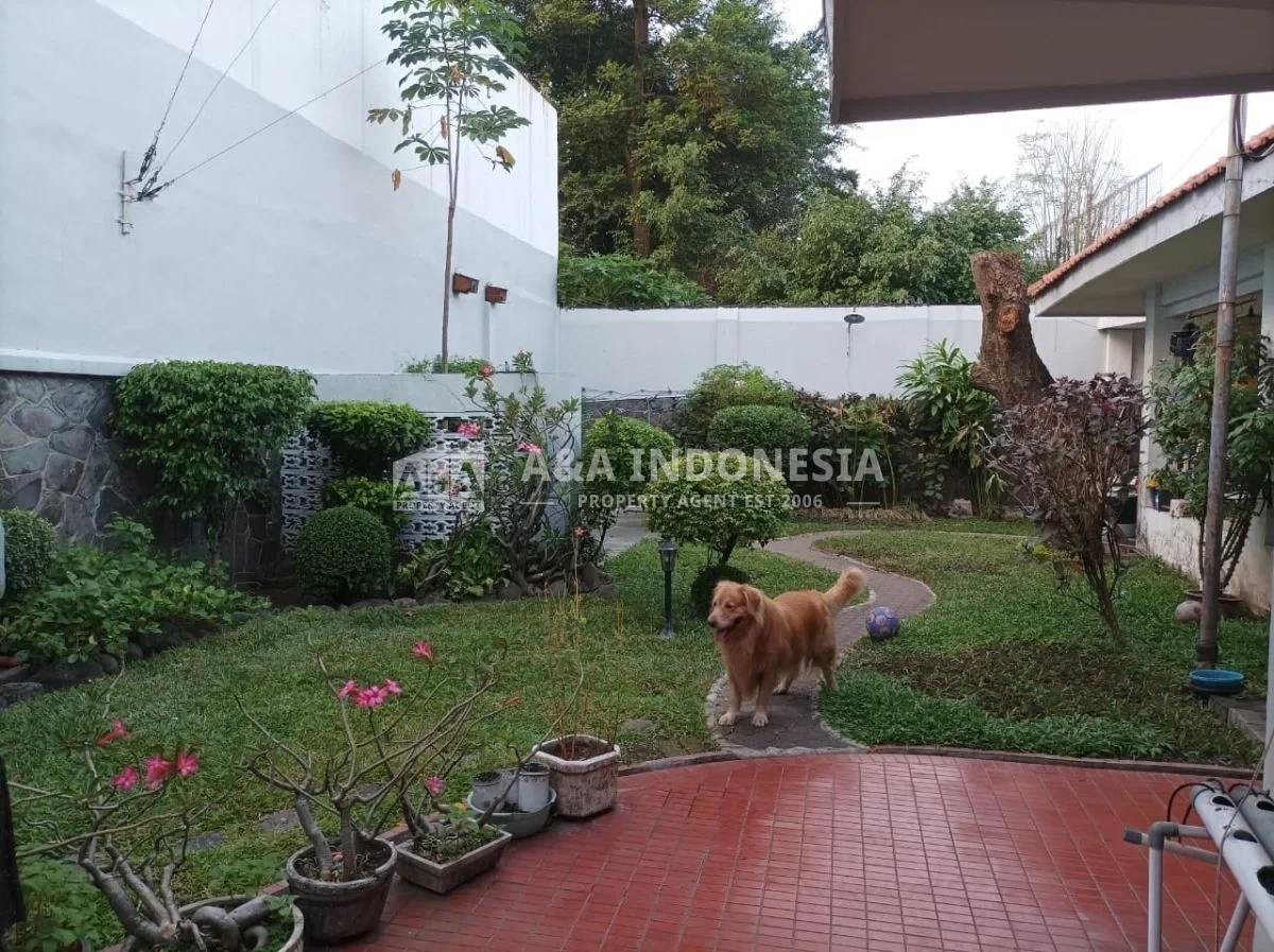 Dijual Rumah Besar Dan Bagus Di Jalan Kapuas, Surabaya Pusat - Thumbnail 3