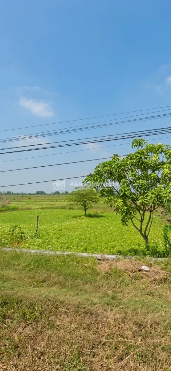 Dijual Tanah SHM Raya Balongpanggang Gresik Cocok untuk Usaha