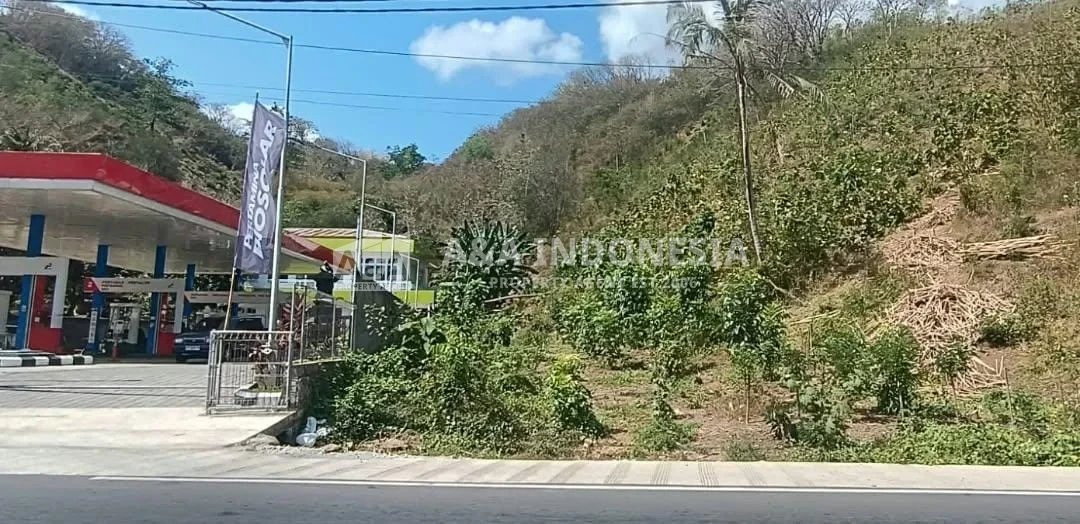 Jual Tanah Kavling 1 Hektar Raya Lembar Sekotong dekat Pelabuhan Lombok Barat Nusa Tenggara Barat