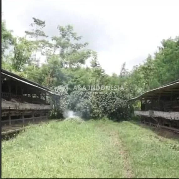 Dijual Tanah Strategis Dan Murah Di Kabupaten Malang
