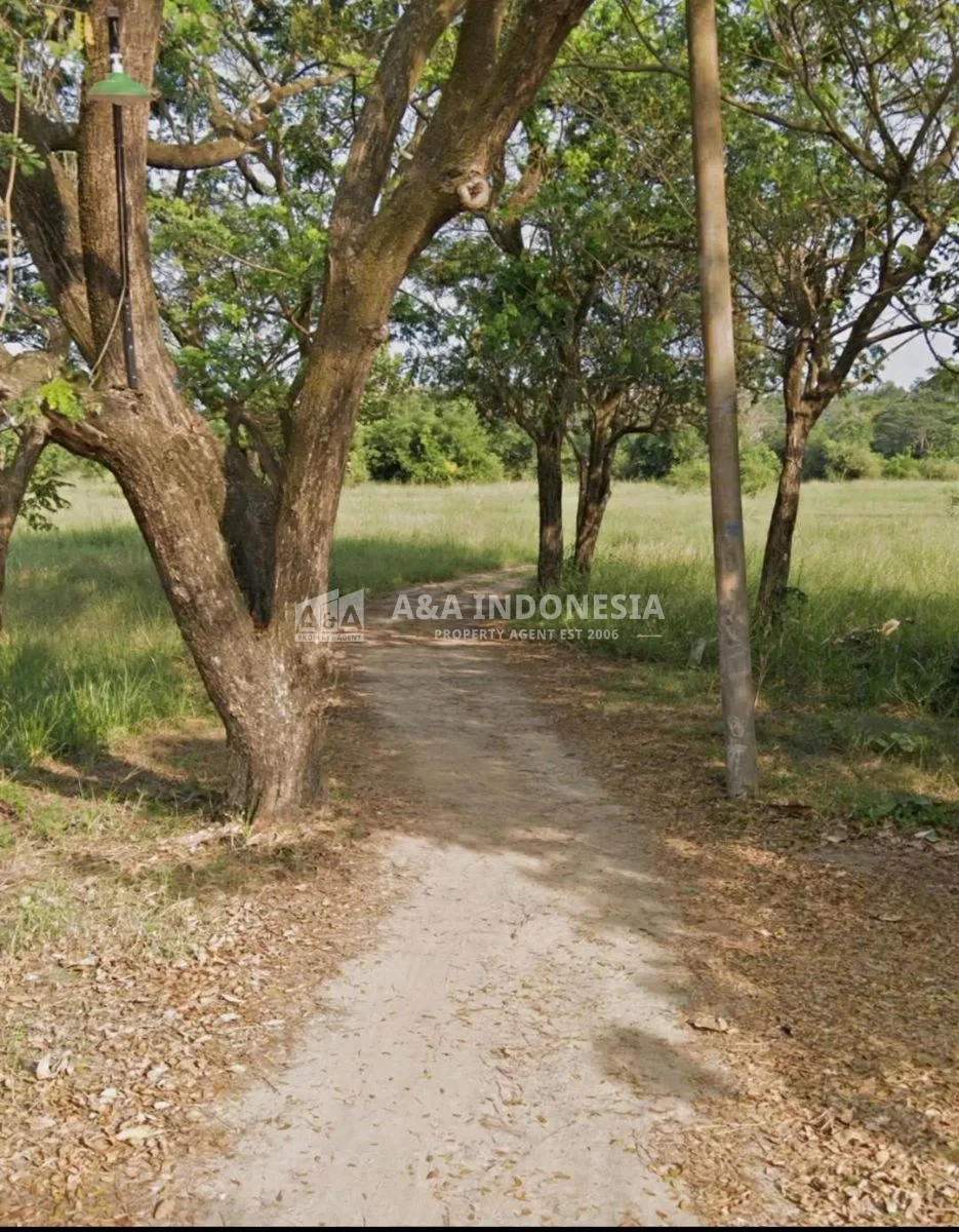 DIJUAL TANAH KOMERSIAL STRATEGIS – SAMPING PASAR BLIMBING, PACIRAN, LAMONGAN
