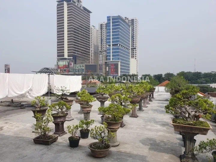 Dijual Rumah Kost Aktif dan Strategis Di Siwalankerto Surabaya Selatan - Thumbnail 4