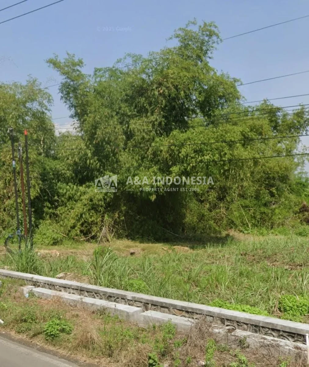 Jual Tanah Lokasi Strategis Perindustrian Raya Lamongan Mojokerto, Mantup Lamongan Jawa Timur - Thumbnail 3