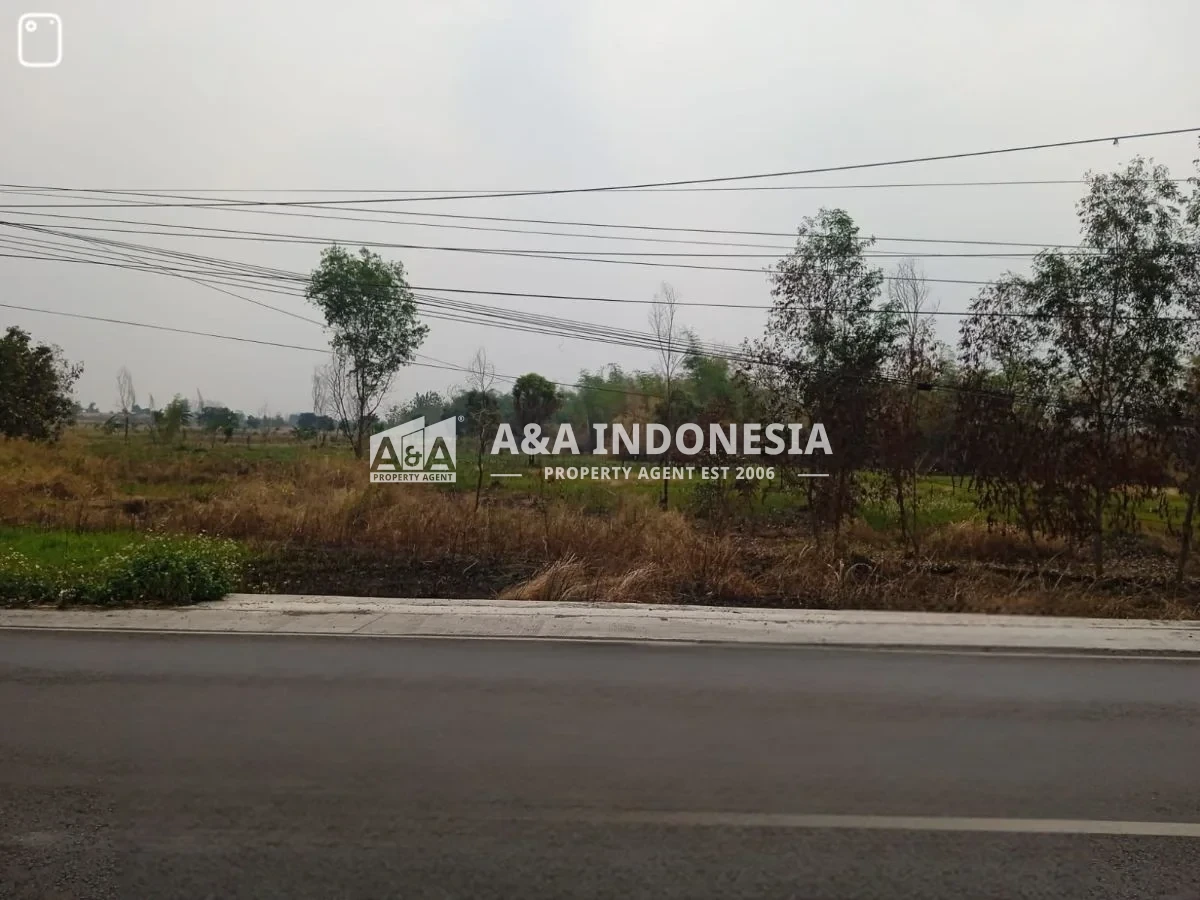 Dijual Tanah Lokasi Strategis KawasanPerindustrian Glugu Mantup Raya Lamongan - Thumbnail 2