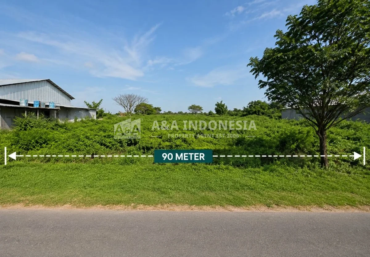Jual Kavling Tanah 4 Hektar Raya Tuban Babat Jalan Nasional 1 Tuban Jawa Timur - Thumbnail 3