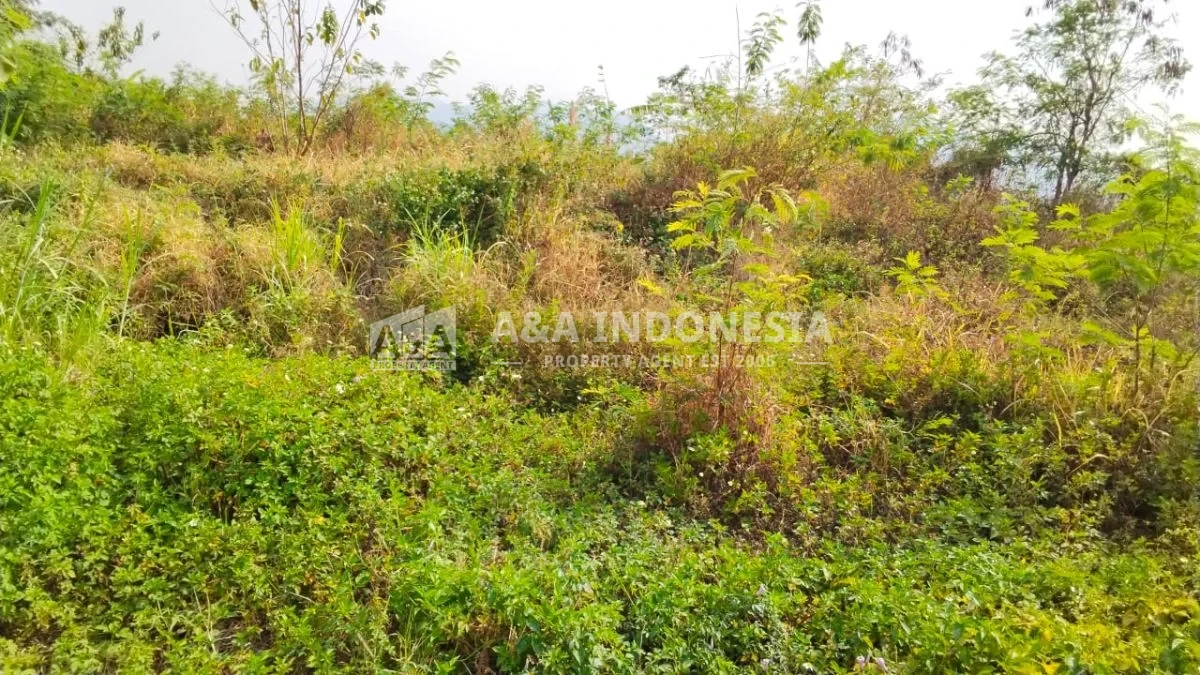 Dijual Tanah Kosong Lokasi Dekat Wisata Pacet Kab Mojokerto - Thumbnail 3