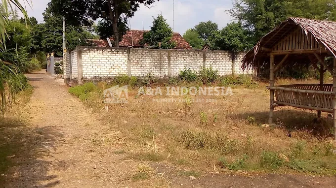 Dijual Tanah, cocok untuk perumahan, bebas banjir sudah ada akses jalan untuk mobil, Tanah matang siap dibangun. Daerah Semanding , Kabupaten Tuban. - Thumbnail 3