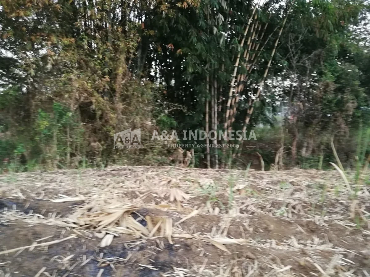Dijual Tanah Strategis Di Sidorahayu Wagir Malang - Thumbnail 2